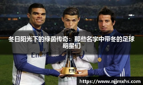 冬日阳光下的绿茵传奇：那些名字中带冬的足球明星们